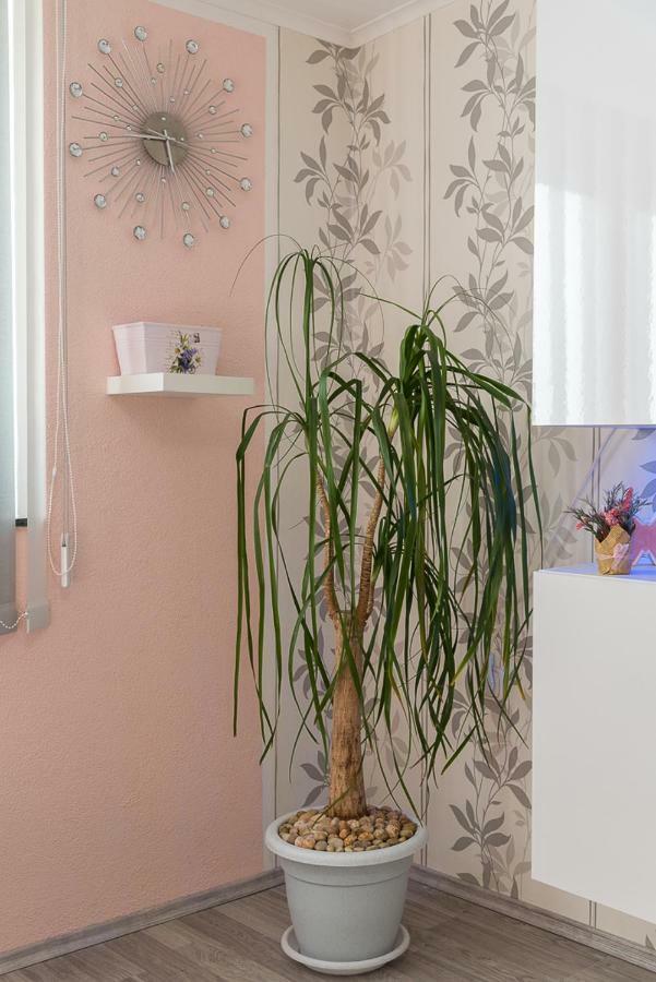 Apartment Danijela II Šibenik Eksteriør bilde